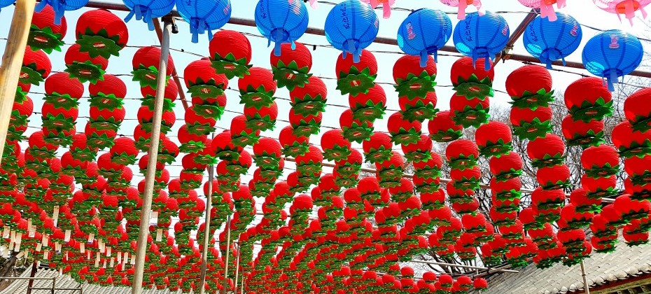 傳燈寺山寺體驗