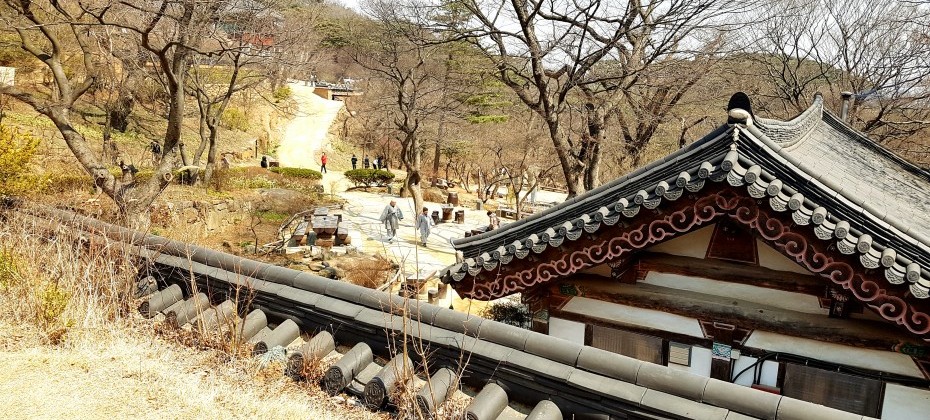 傳燈寺山寺體驗