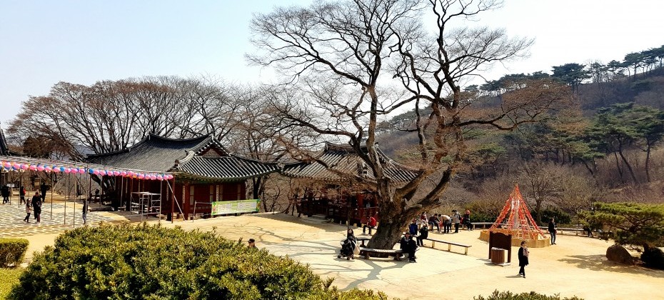 傳燈寺山寺體驗