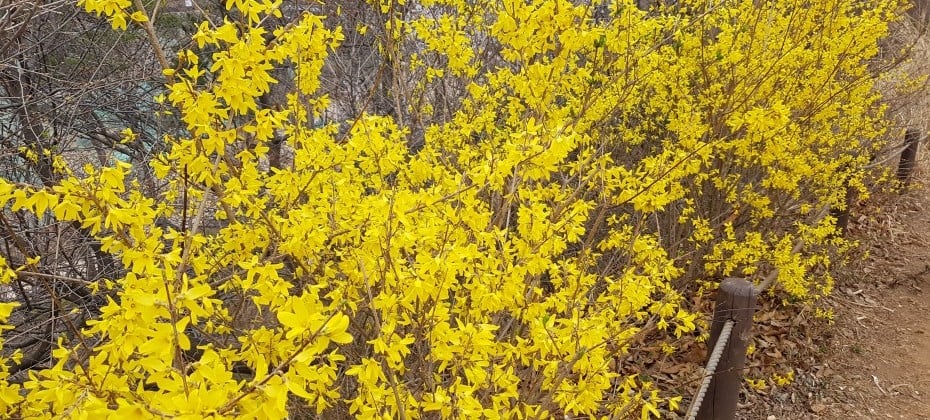 北漢山國立公園(首爾)(북한산국립공원(서울))