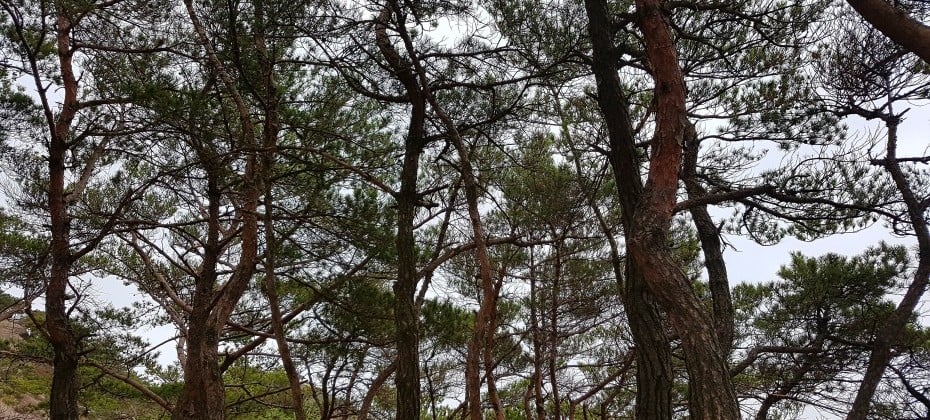 北漢山國立公園(首爾)(북한산국립공원(서울))