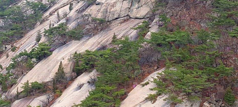 北漢山國立公園(首爾)(북한산국립공원(서울))