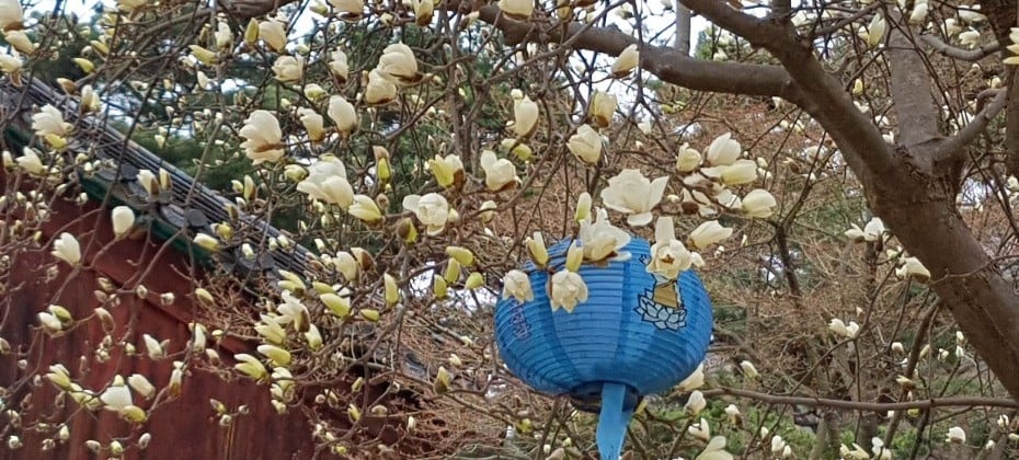 北漢山國立公園(首爾)(북한산국립공원(서울))