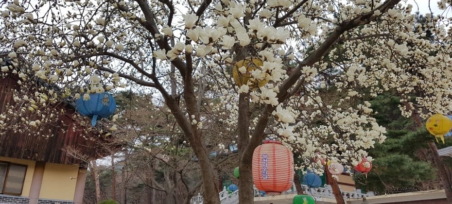 北漢山國立公園(首爾)(북한산국립공원(서울))