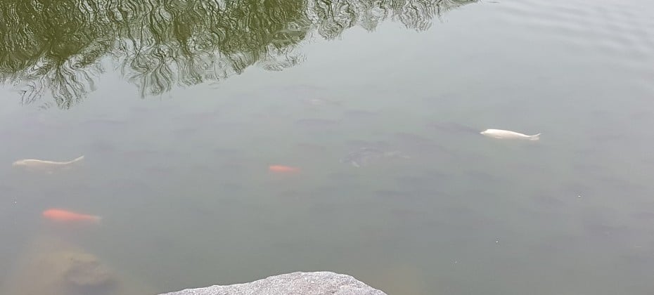 北漢山國立公園(首爾)(북한산국립공원(서울))