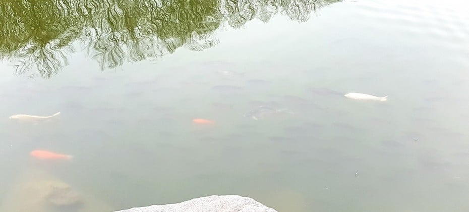 北漢山國立公園(首爾)(북한산국립공원(서울))