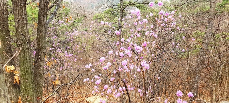 北漢山國立公園(首爾)(북한산국립공원(서울))