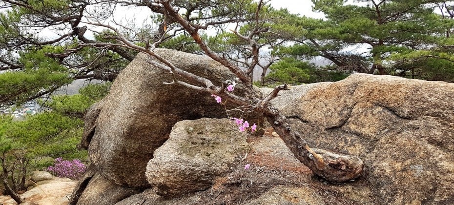 北漢山國立公園(首爾)(북한산국립공원(서울))