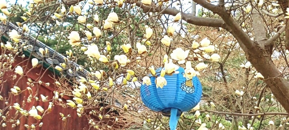 北漢山國立公園(首爾)(북한산국립공원(서울))