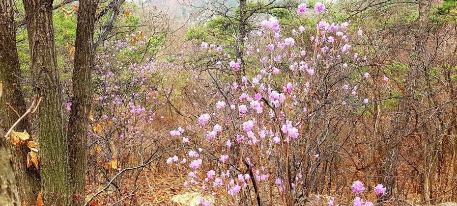 北漢山國立公園(首爾)(북한산국립공원(서울))