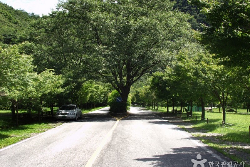 內藏山國立公園 (33/40)