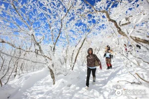 德裕山國立公園