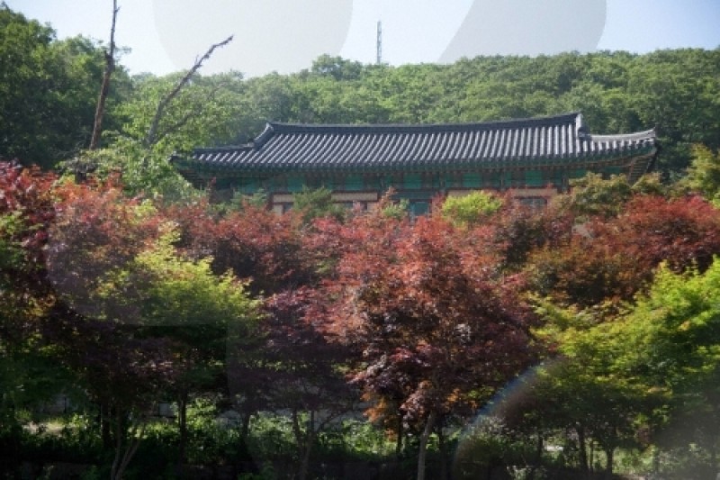 安國寺