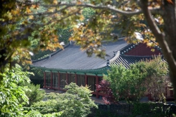 安國寺