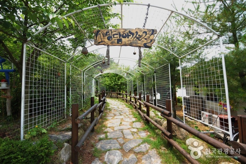 錦江堤壩