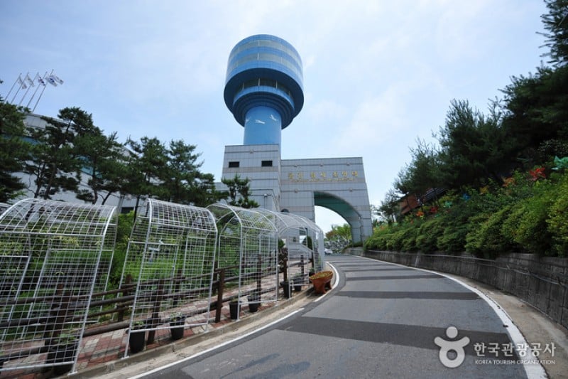 錦江堤壩