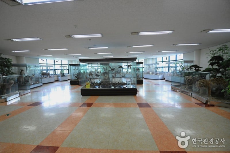 錦江堤壩