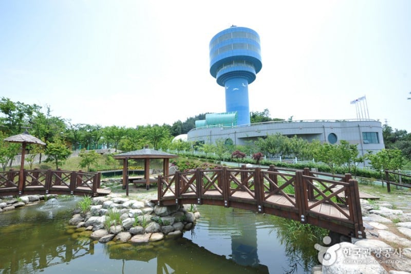 錦江堤壩