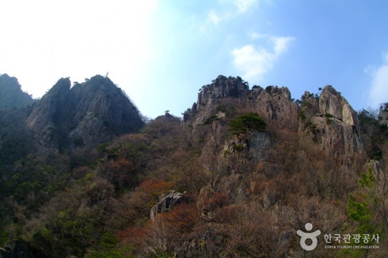大芚山道立公園