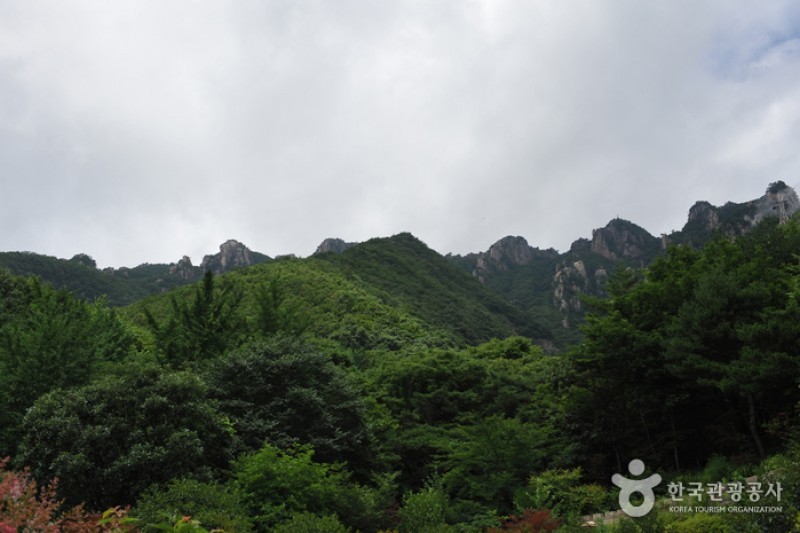 大芚山道立公園