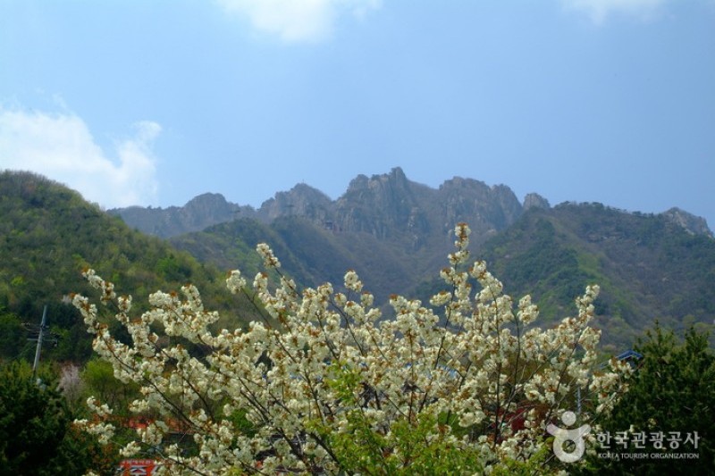 大芚山道立公園