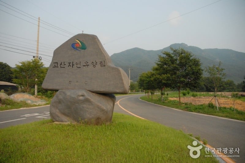高山自然休養林
