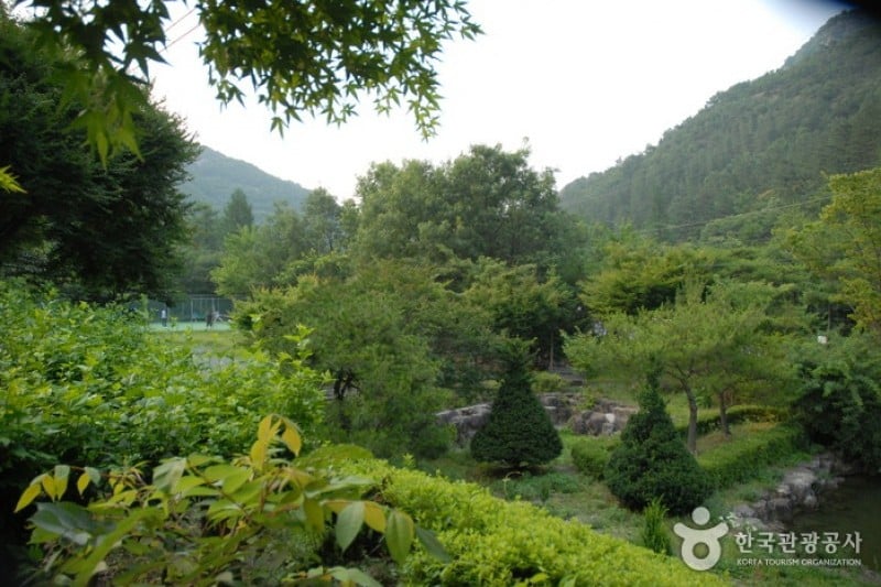 高山自然休養林