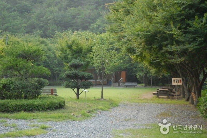 高山自然休養林