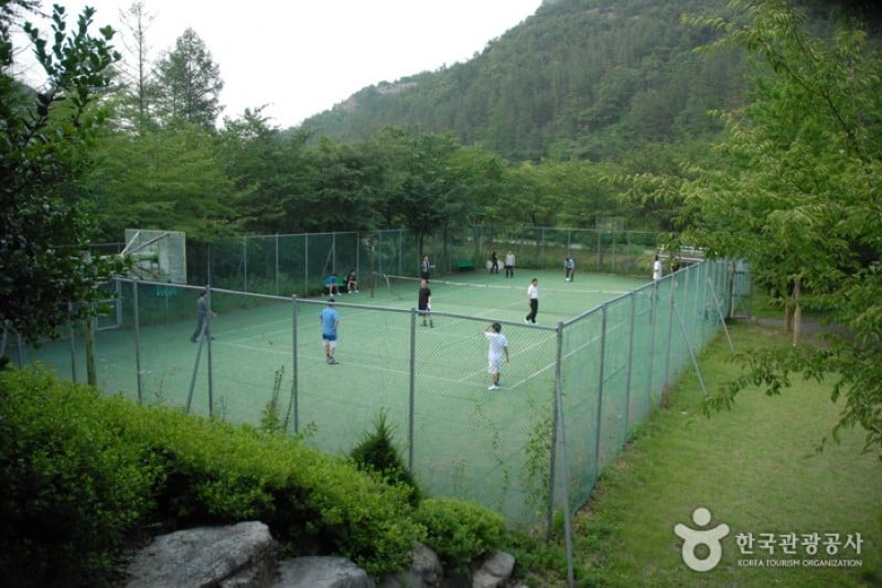 高山自然休養林