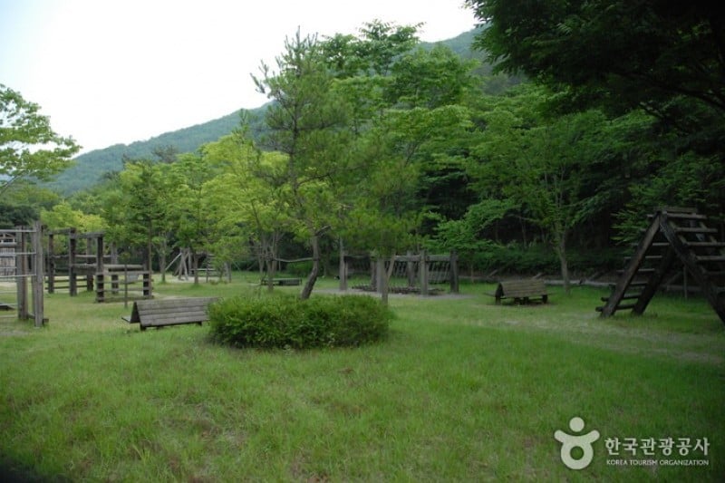 高山自然休養林