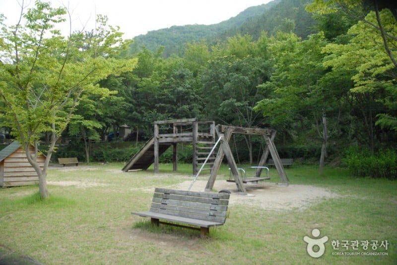 高山自然休養林