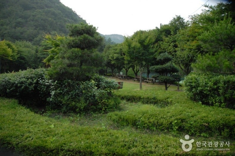 高山自然休養林