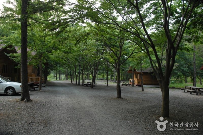 高山自然休養林