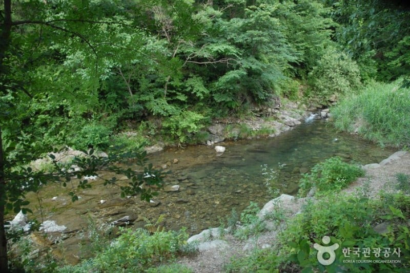 高山自然休養林