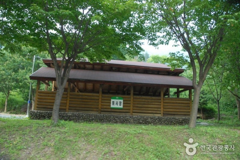 高山自然休養林
