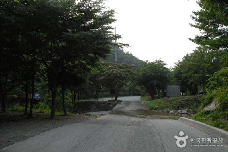 高山自然休養林