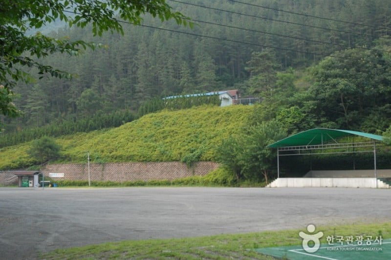 高山自然休養林