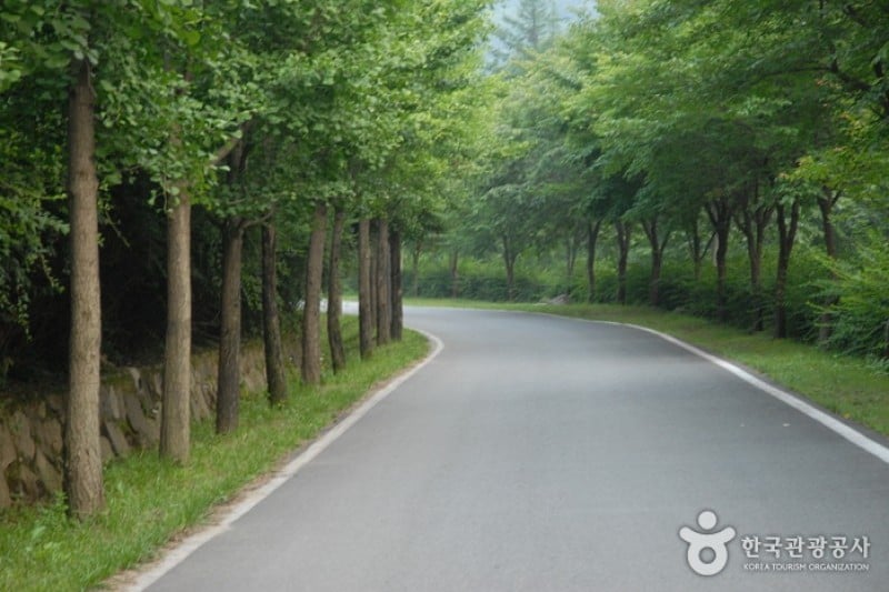 高山自然休養林