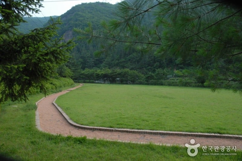 高山自然休養林