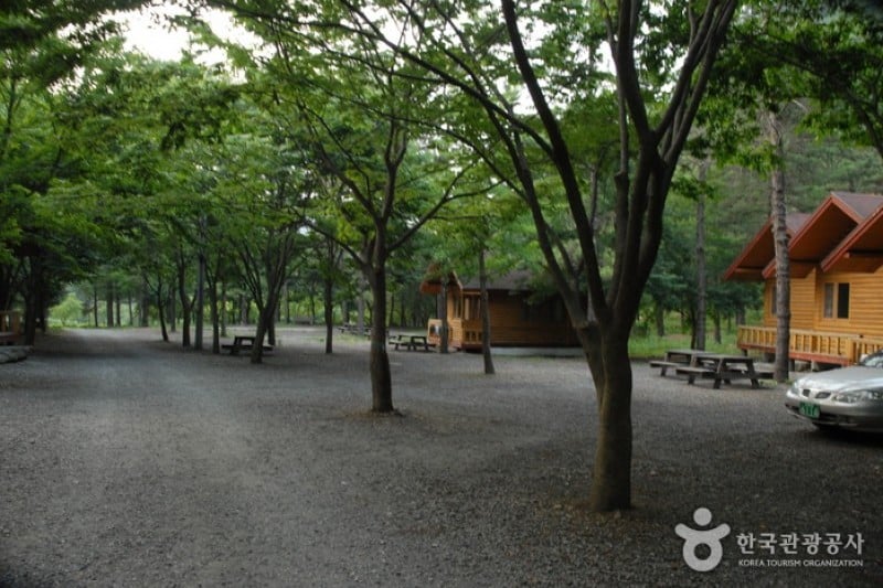 高山自然休養林
