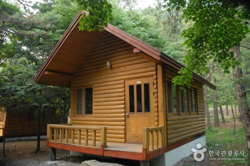 高山自然休養林