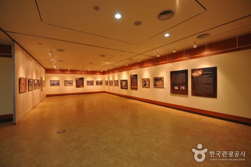 高敞支石墓博物館