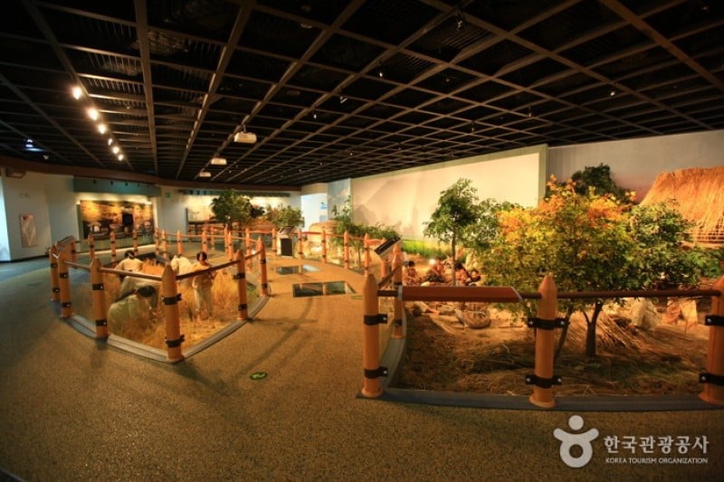 高敞支石墓博物館