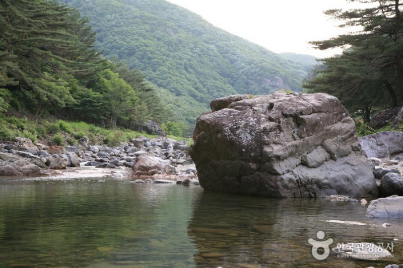 雲日岩半日岩溪谷 (1/4)