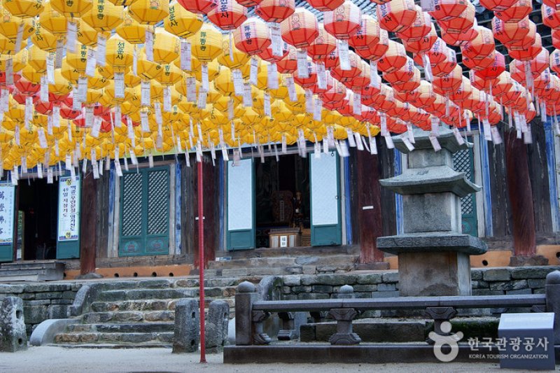 禪雲寺山寺體驗