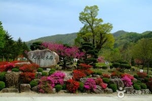 大雅樹木園