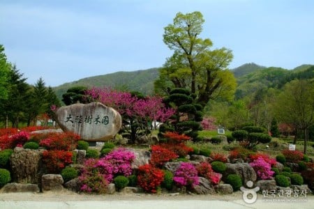 大雅樹木園