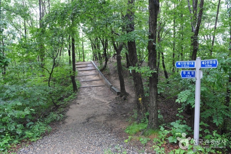 大雅樹木園
