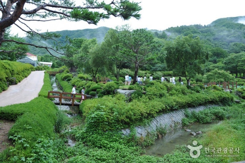 大雅樹木園