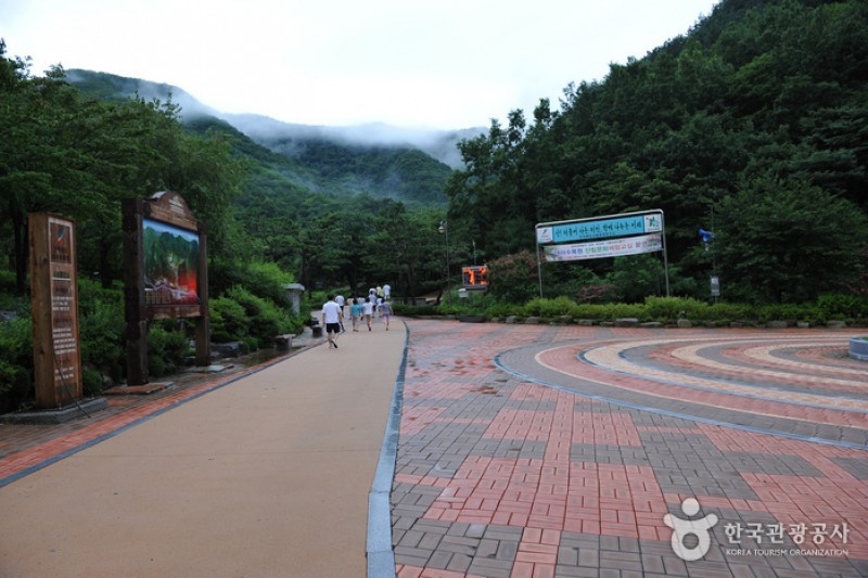 大雅樹木園